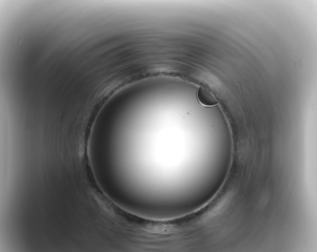 X0000089430833200706221210