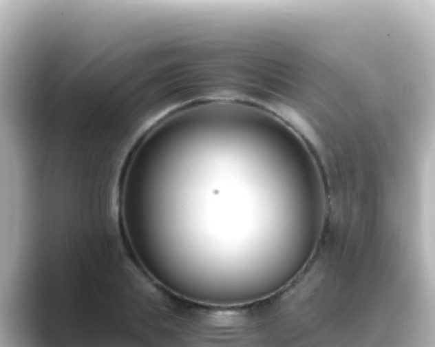X0000089430839200706221210
