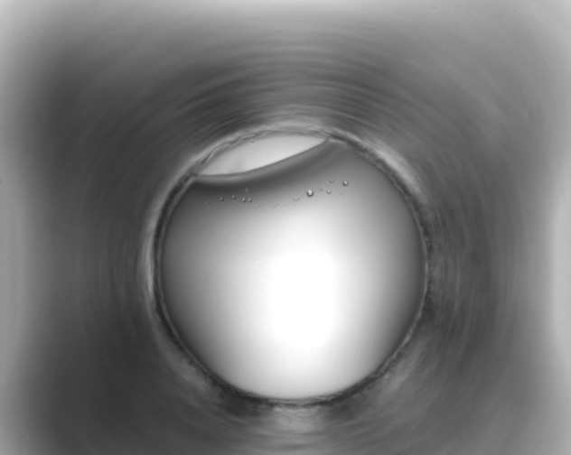 X0000089430840200706221210