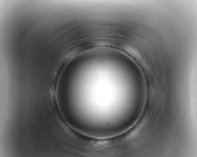 X0000089430841200706221210