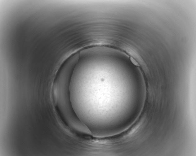 X0000089430842200706221210
