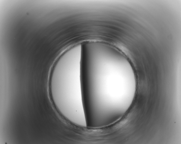 X0000089430845200706221210