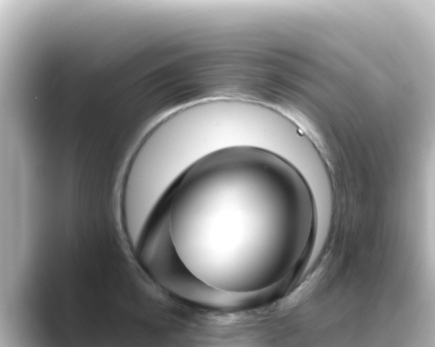 X0000089430854200706221210