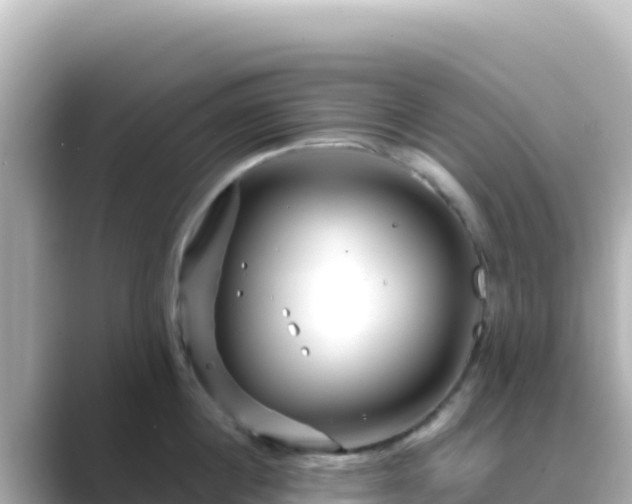 X0000089430860200706221210