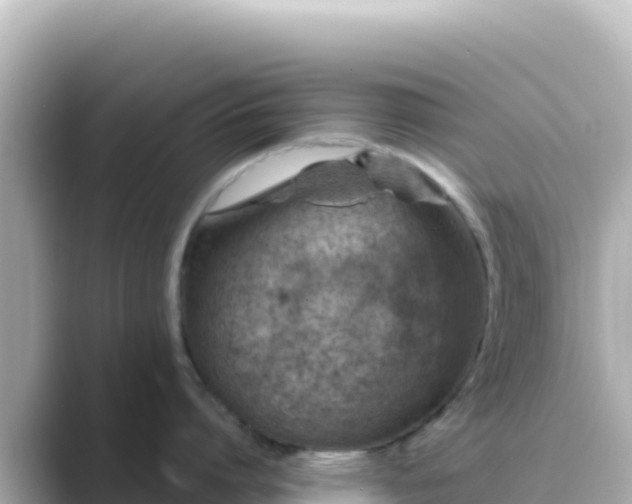 X0000089430864200706221210