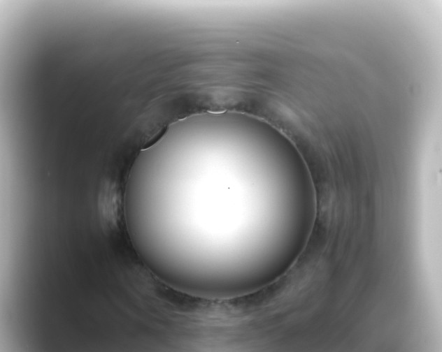 X0000089430866200706221209