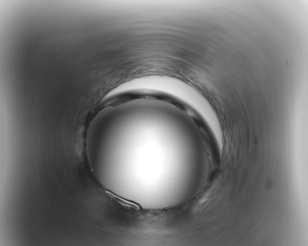 X0000089430868200706221209