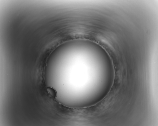 X0000089430870200706221209