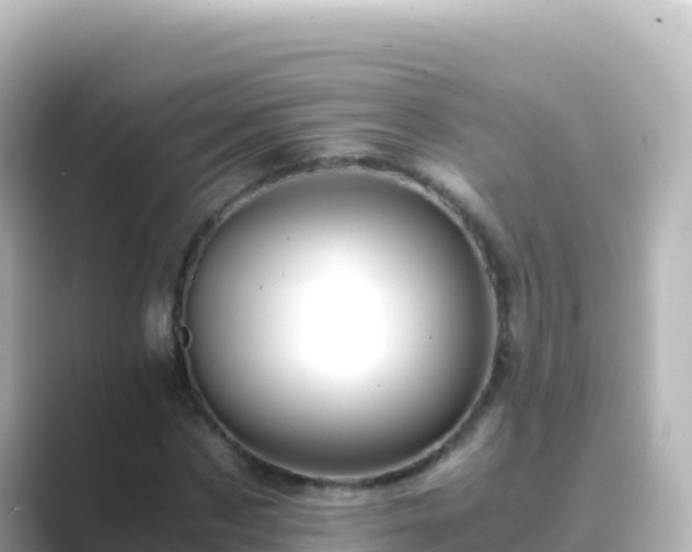 X0000089430873200706221209