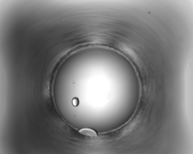 X0000089430875200706221209