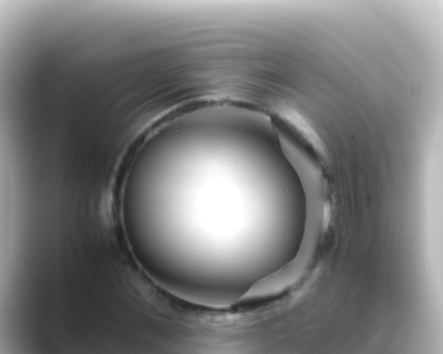 X0000089430876200706221209