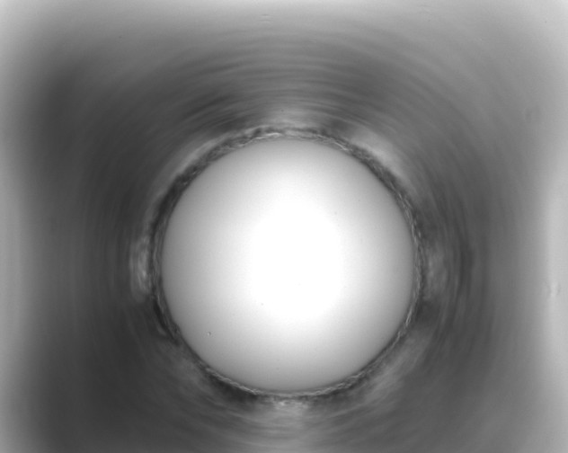 X0000089430878200706221209