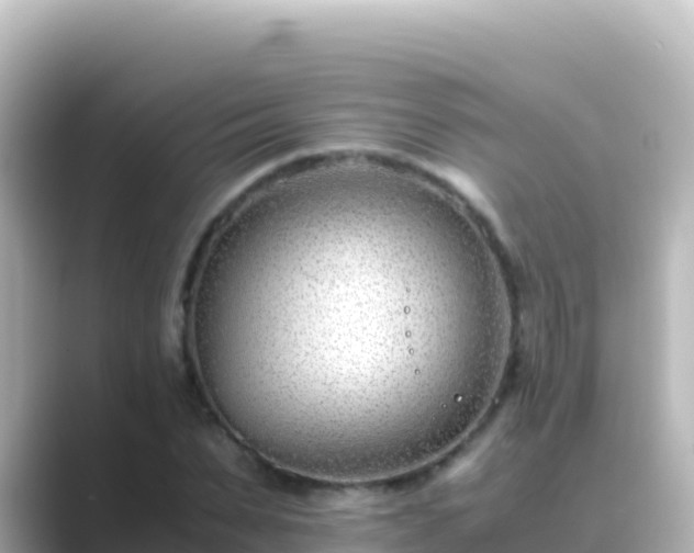 X0000089430879200706221209