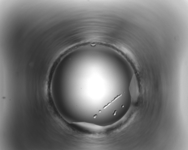 X0000089430880200706221209