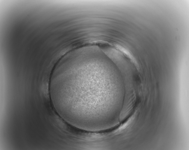 X0000089430881200706221209