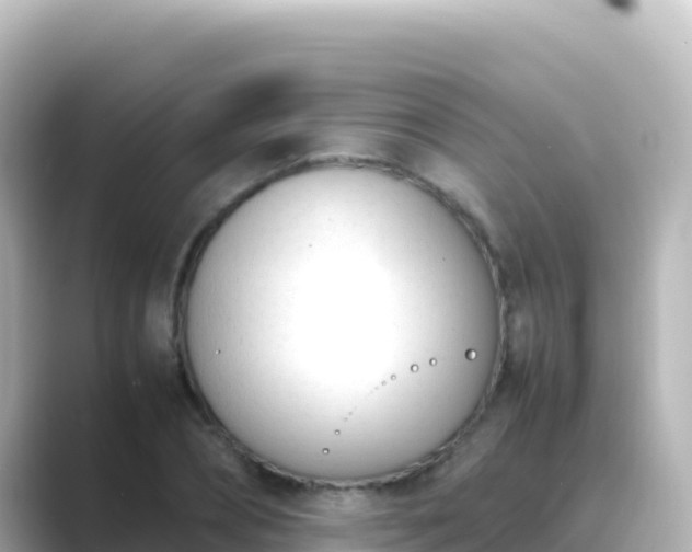 X0000089430882200706221209
