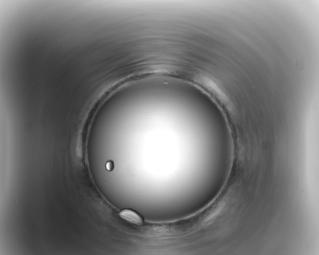 X0000089430883200706221209