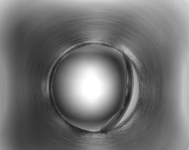 X0000089430884200706221209