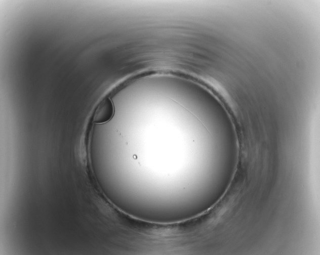 X0000089430887200706221209