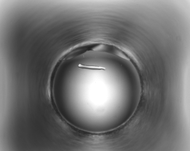 X0000089430888200706221209