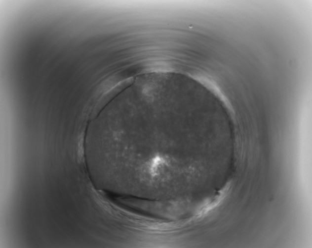 X0000089430889200706221209