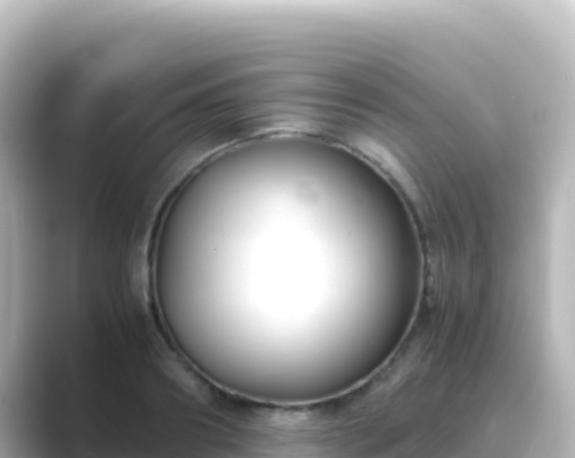 X0000089430890200706221209
