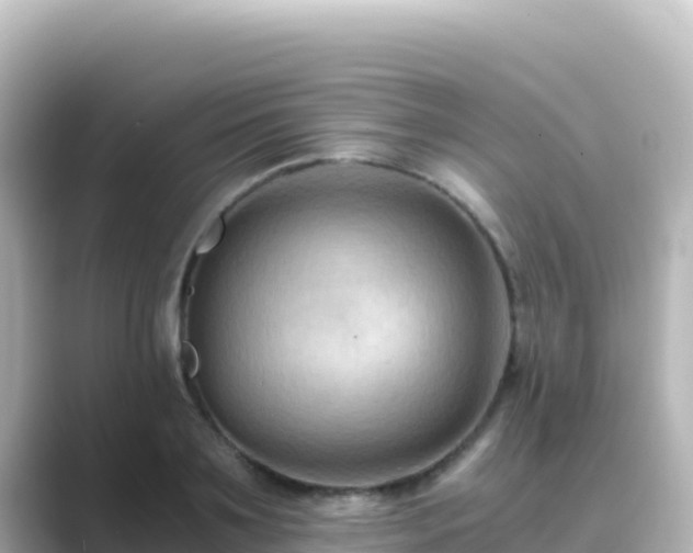 X0000089430891200706221209