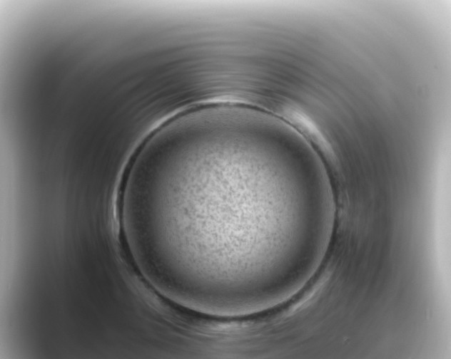 X0000089430892200706221209