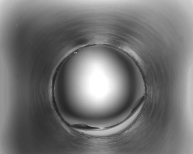 X0000089430894200706221209