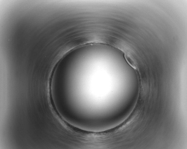 X0000089430898200706221209