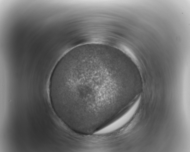 X0000089430899200706221209