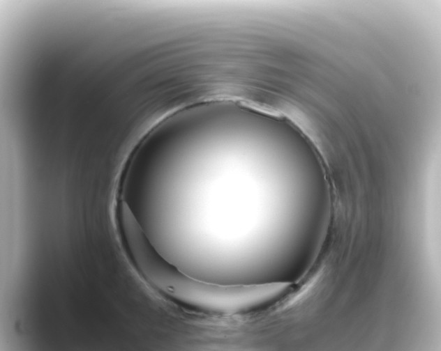 X0000089430901200706221209