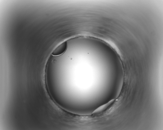 X0000089430903200706221209