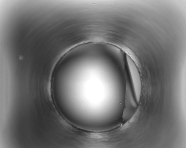 X0000089430904200706221209