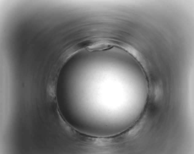 X0000089430905200706221209