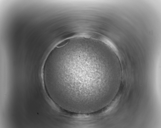 X0000089430907200706221209