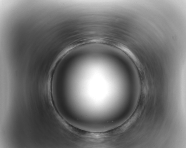X0000089430910200706221209