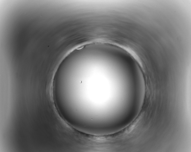 X0000089430911200706221209