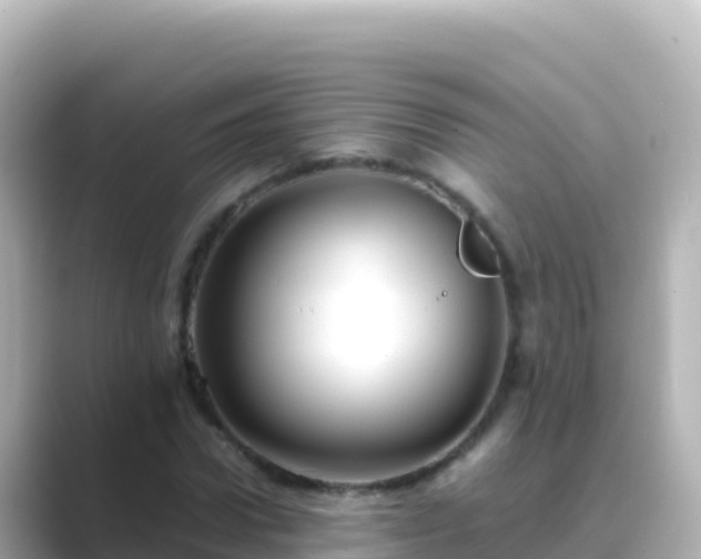 X0000089430922200706221208
