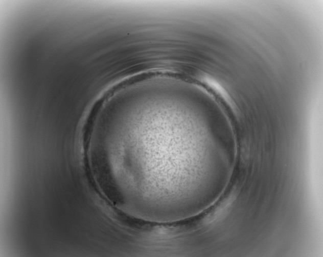 X0000089430923200706221208