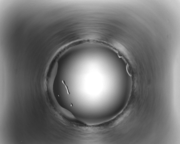 X0000089430924200706221208