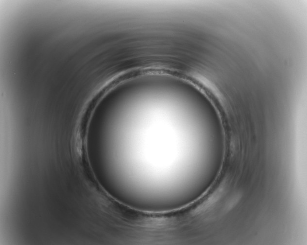 X0000089430925200706221208