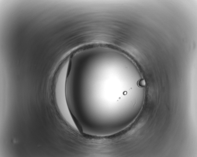 X0000089430926200706221208