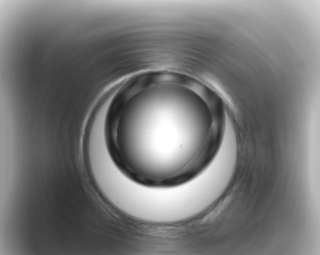 X0000089430932200706221208