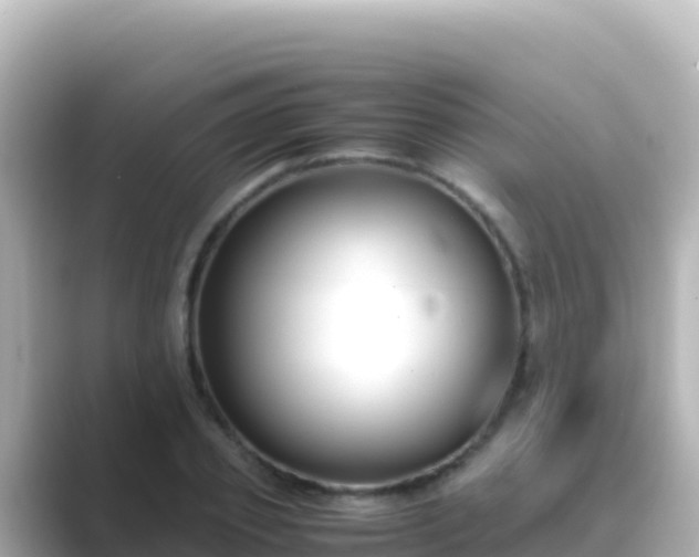 X0000089430933200706221208