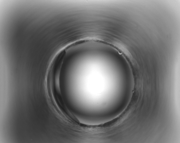 X0000089430936200706221208