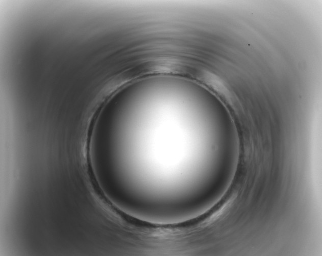 X0000089430938200706221209