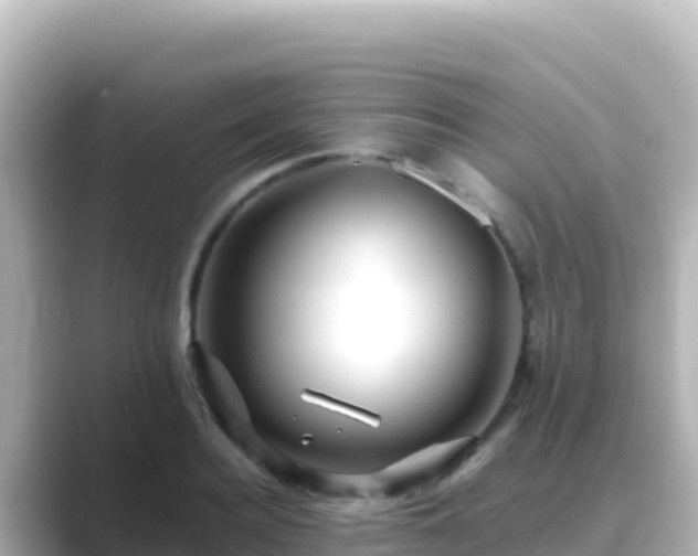 X0000089430940200706221209