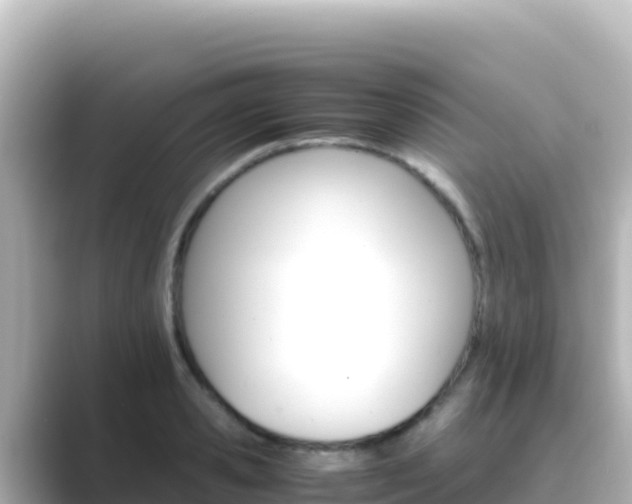 X0000089430941200706221209