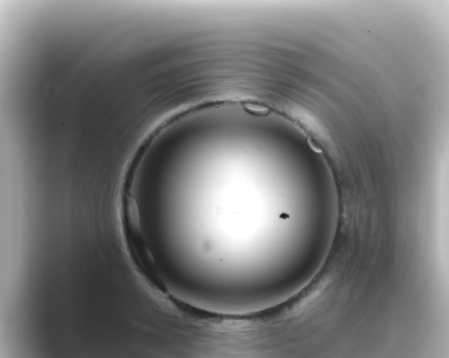 X0000089430942200706221209